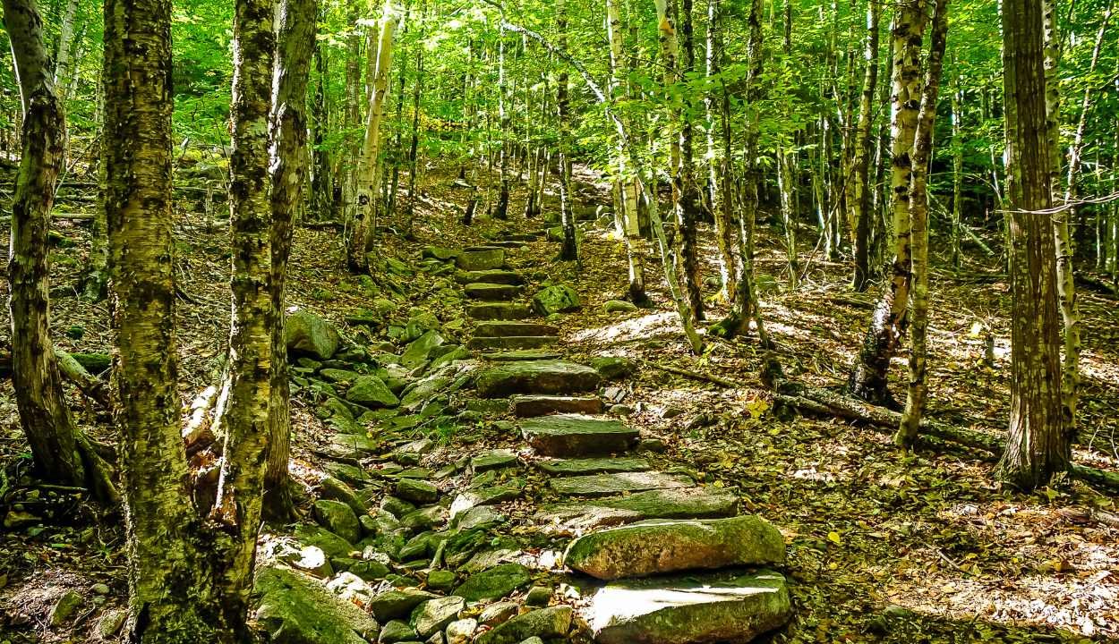 Jibhi & Tirthan Valley Offbeat Escape